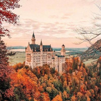 万博·ManBetX手机手机app下载截图